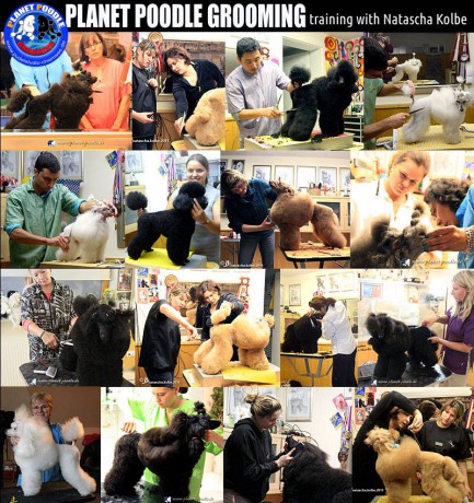 YoninkaPoster_Natasha