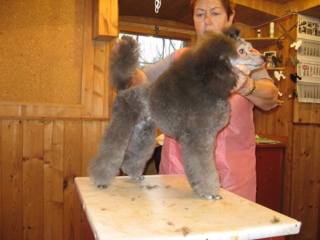 FB_IMG_1672473907505