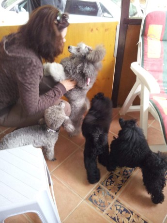 FB_IMG_1673167624642