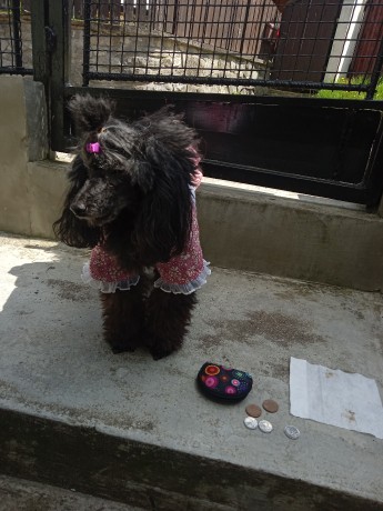 IMG_20230509_141310_411