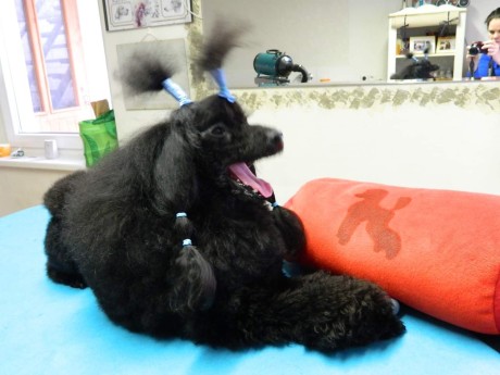 FB_IMG_1675377209514