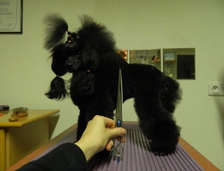 FB_IMG_1677999299298